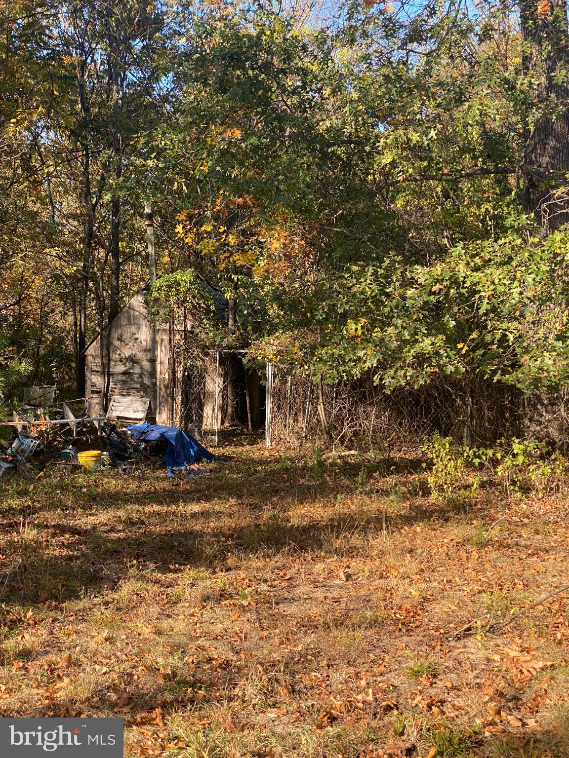 155 Budding Dogwood Road Bunker Hill, WV 25413 - Photo 7 of 20 a view of a yard with plants and trees