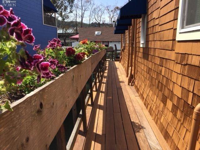 a view of a bunch of flowers