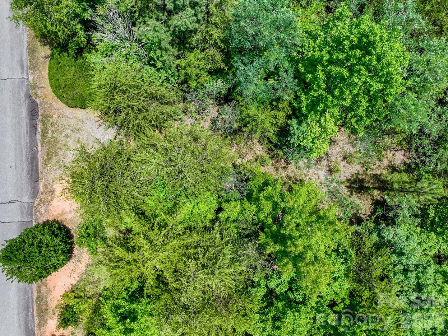 121 Jobes Trail, Unit 35 Mill Spring, NC 28756 - Photo 8 of 20