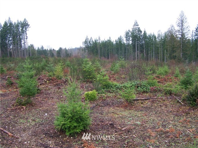 72 Minterbrook Road Port Orchard, WA 98367 - Photo 1 of 1 Gallery Image 1