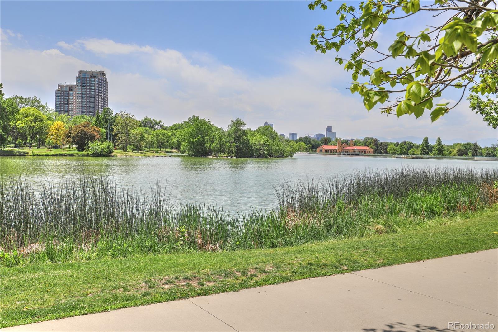2100 Franklin Street, Unit 8 Denver, CO 80205 - Photo 29 of 29 a view of a lake with a big yard and a large tree