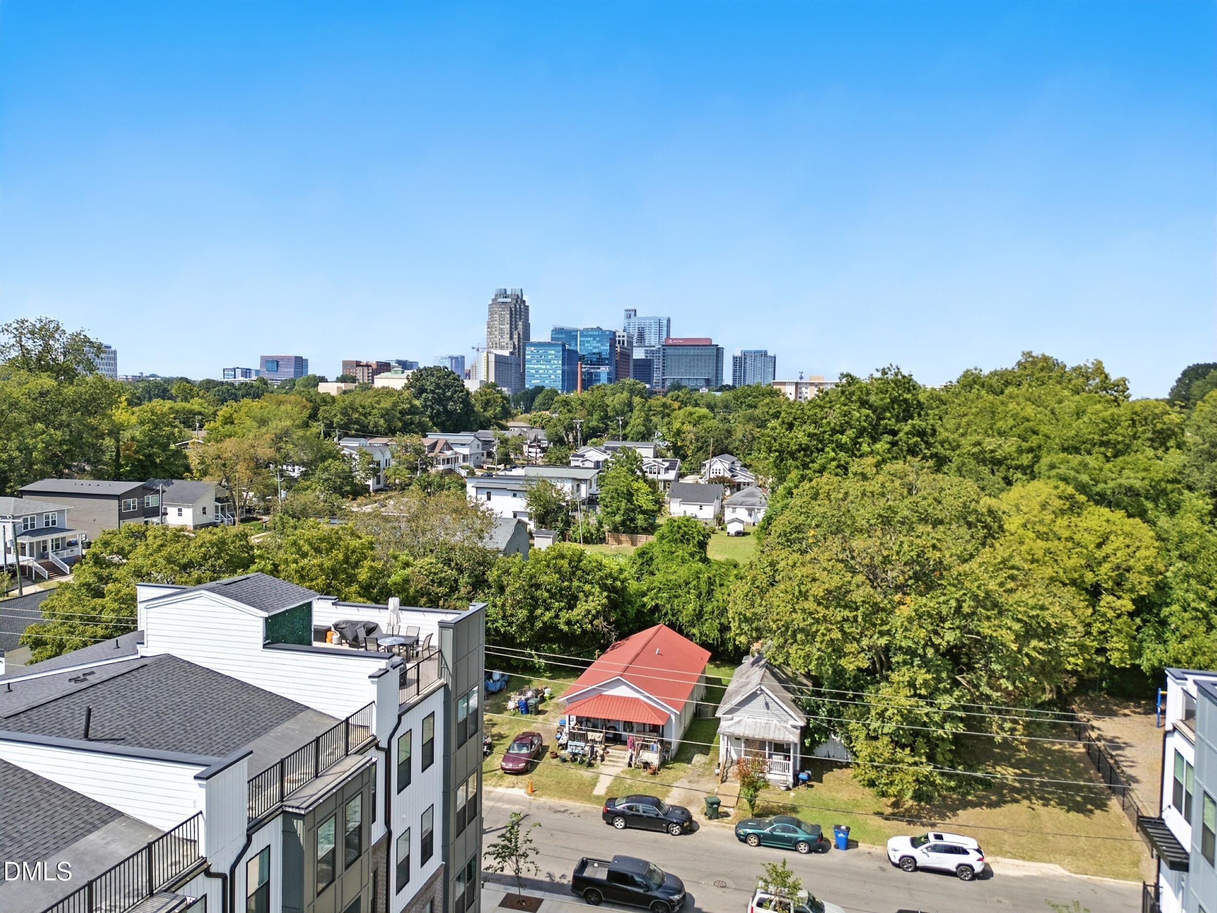1232 South Person Street, Unit 201 Raleigh, NC 27601 - Photo 31 of 45 Downtown Raleigh from Green Space
