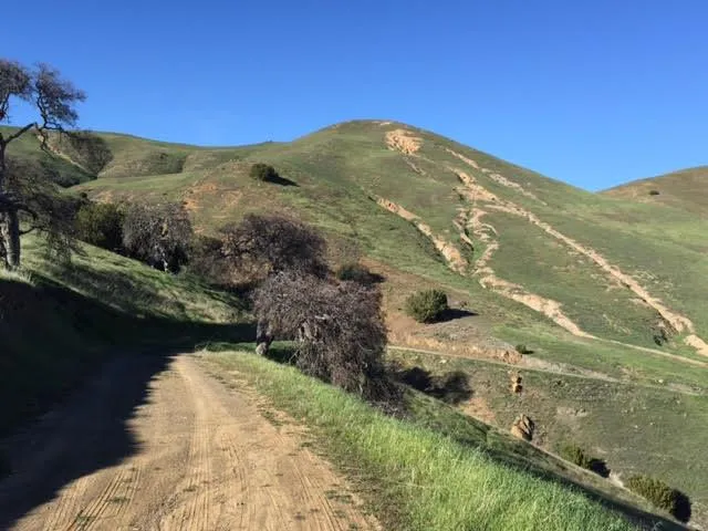 $125,000 | 0 Willow Springs Ranch, Unit 8, Paicines, CA 95043