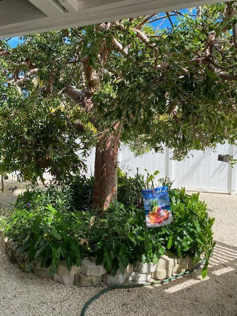 29526 Ranger Avenue Big Pine Key, FL 33043 - Photo 22 of 33 Lots of Shade