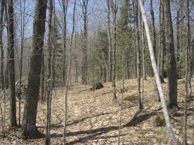Lot 2 Timberline Road Mercer, WI 54547 - Photo 9 of 20 Gallery Image 9