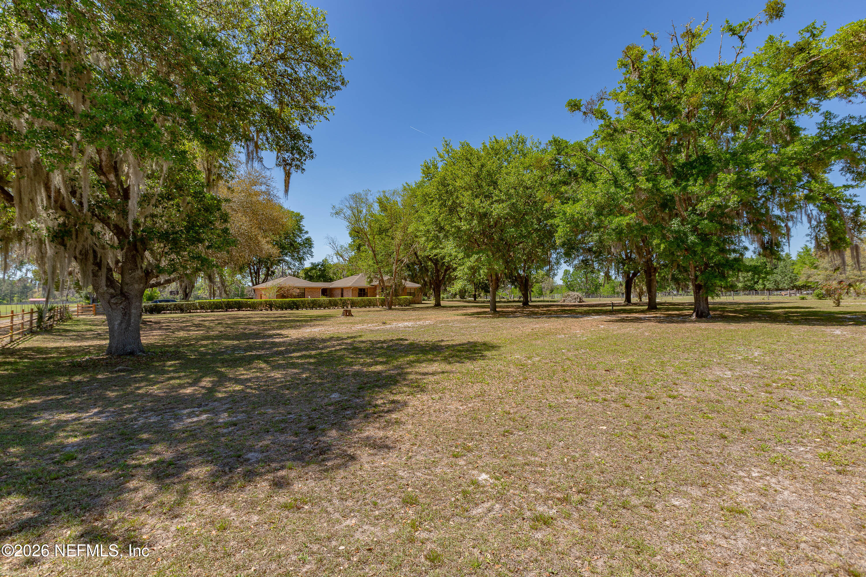 289 Chesser Road Interlachen, FL 32148 - Photo 28 of 63 a view of dirt yard with green space