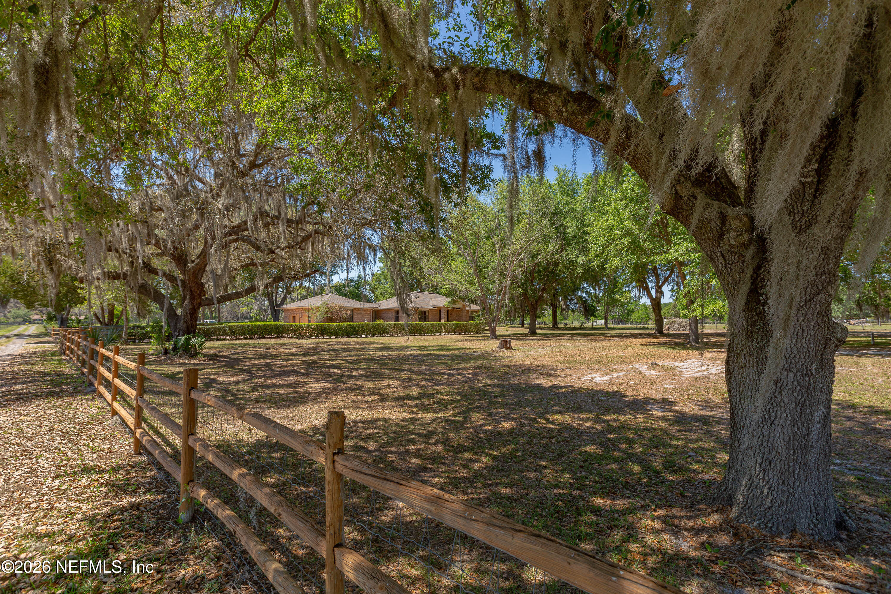 289 Chesser Road Interlachen, FL 32148 - Photo 33 of 63 a view of a yard with plants and trees