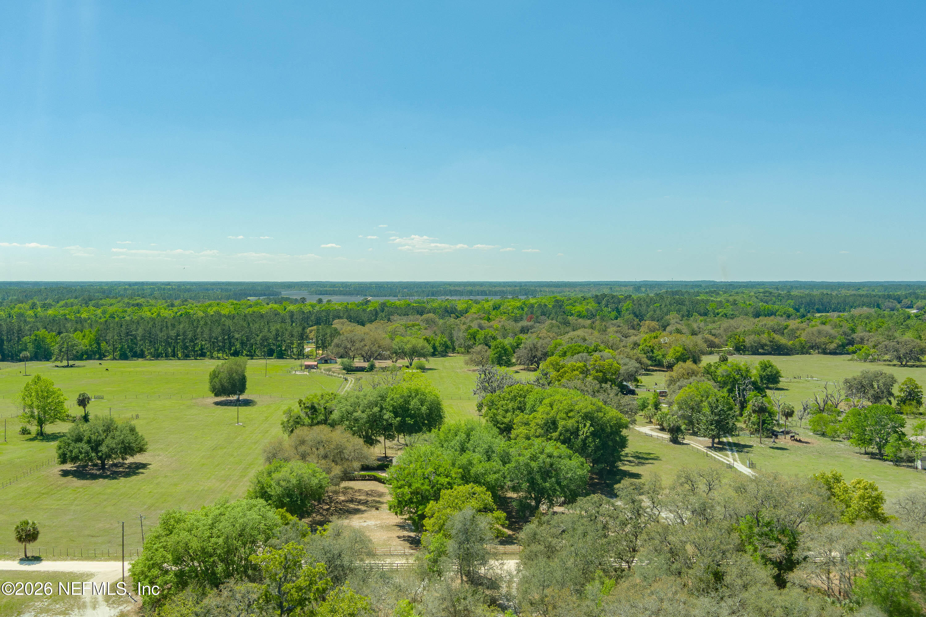 289 Chesser Road Interlachen, FL 32148 - Photo 50 of 63 a view of a green field with lots of plants in it