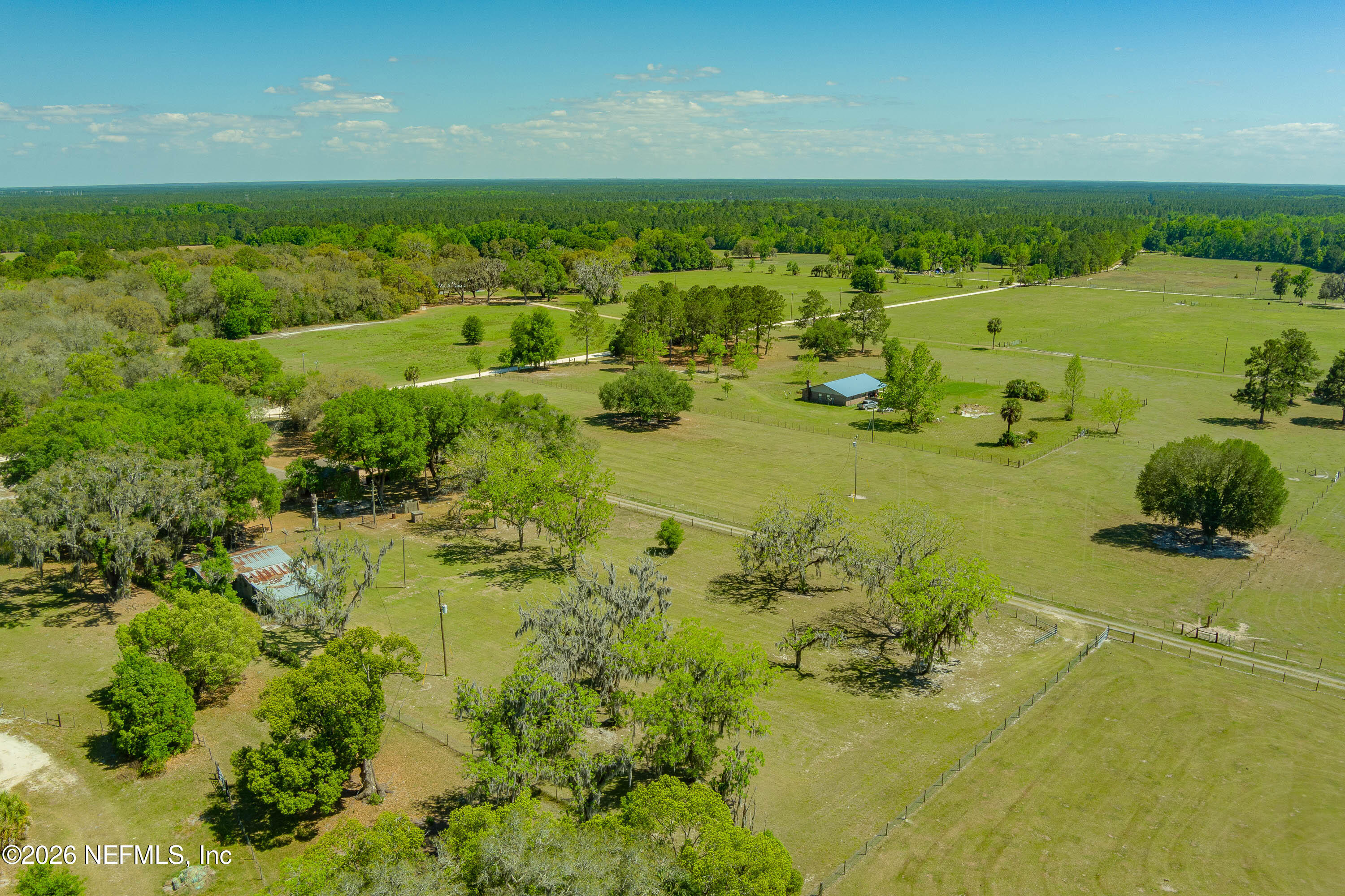 289 Chesser Road Interlachen, FL 32148 - Photo 53 of 63 MAX_5847