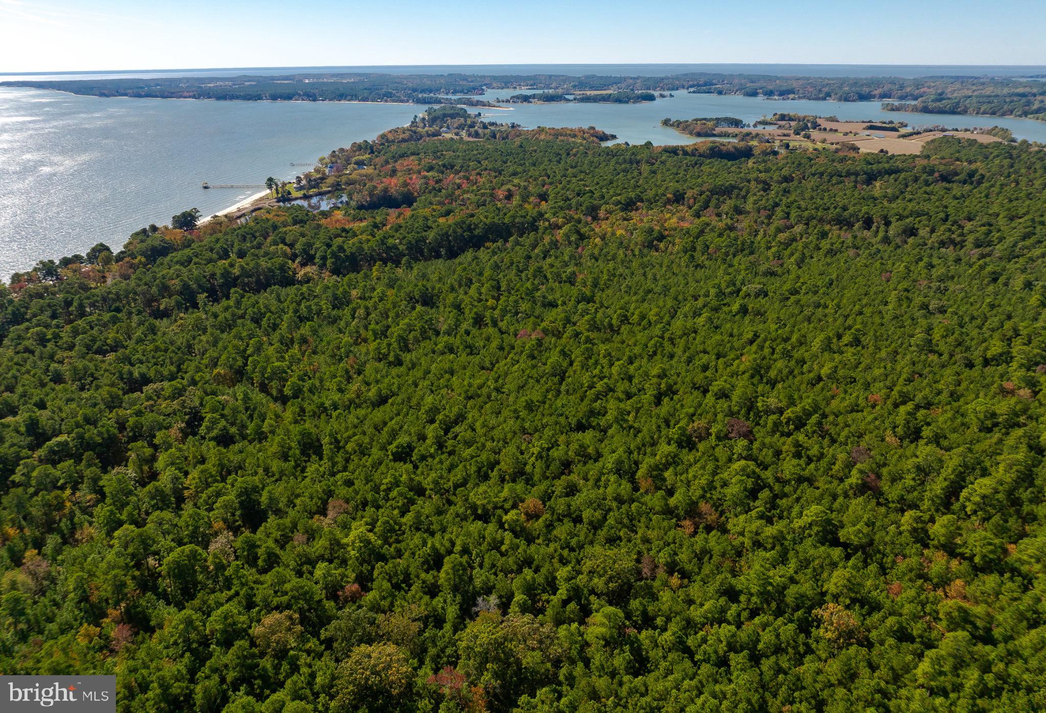 50645 Holly Point Road Dameron, MD 20628 - Photo 27 of 99