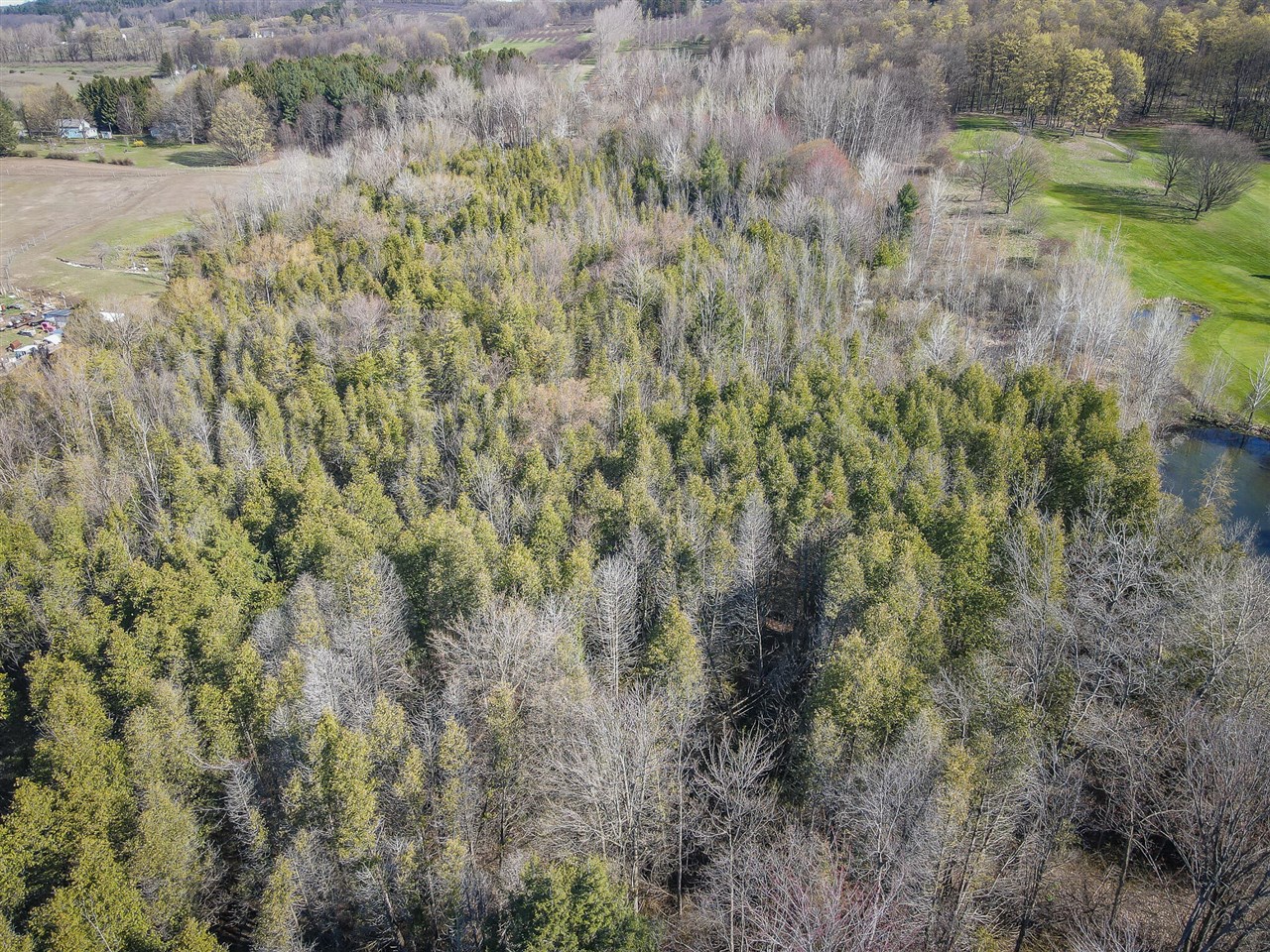 10 West Weaver Road Hesperia, MI 49421 - Photo 31 of 43