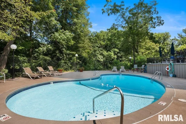 a view of a swimming pool with a patio and plants