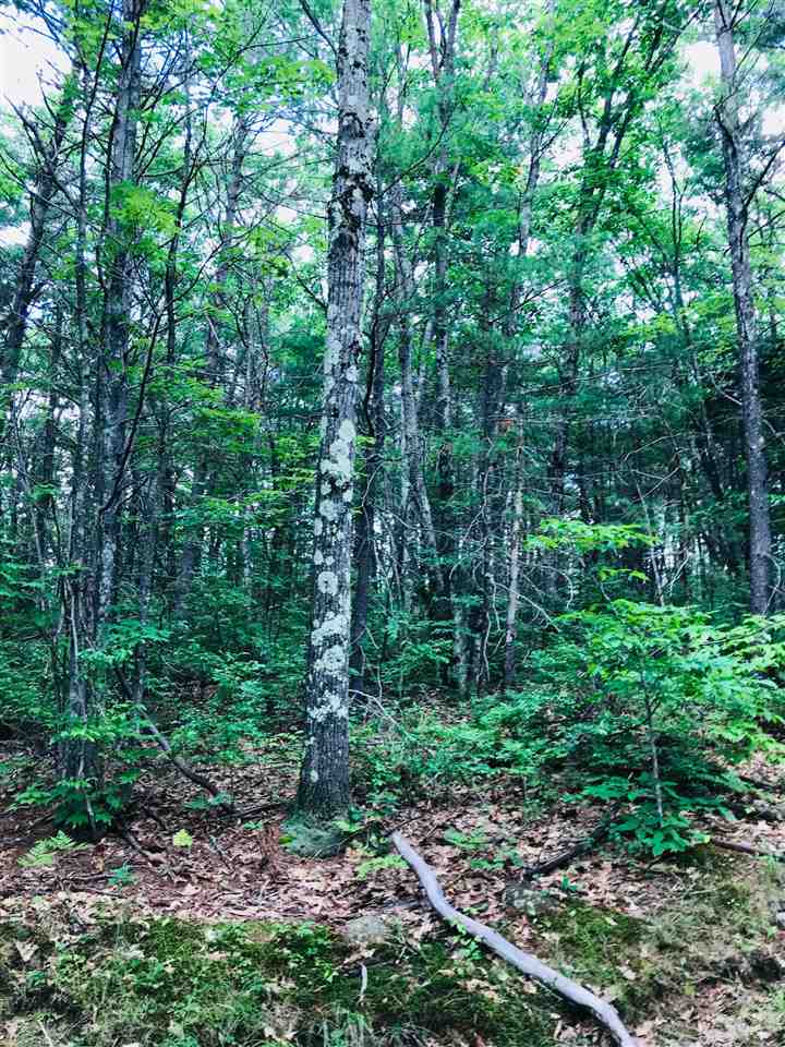 0 Mountain Road Jaffrey, NH 03452 - Photo 1 of 2