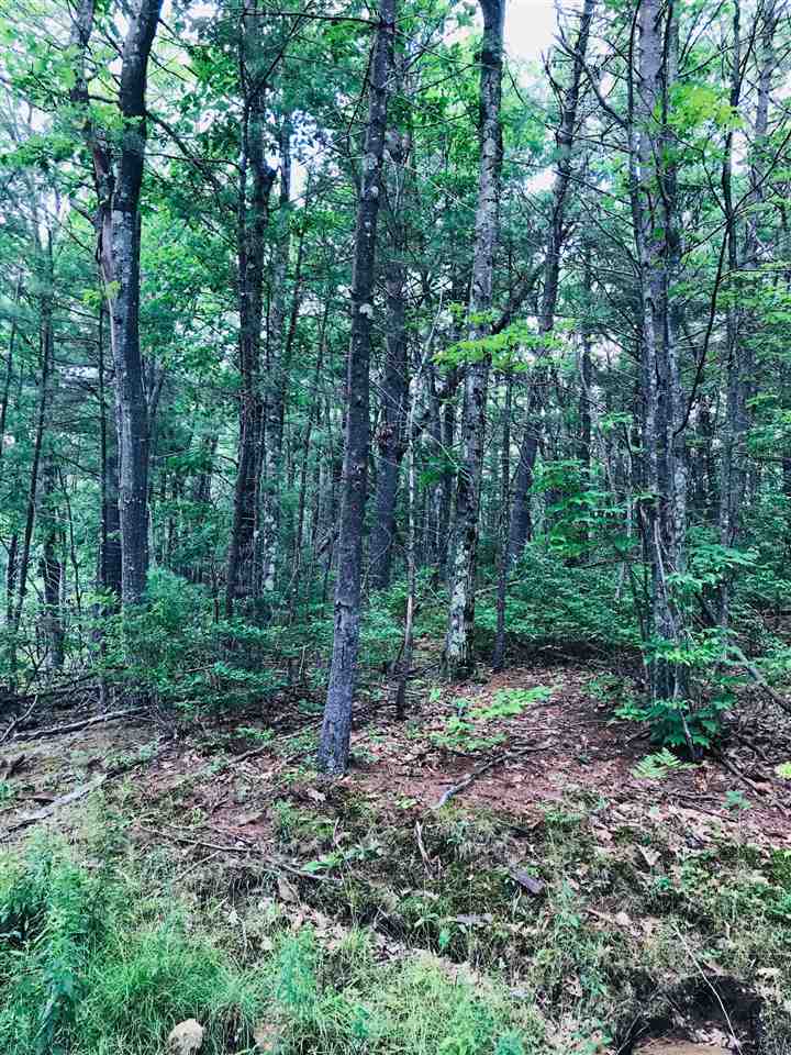 0 Mountain Road Jaffrey, NH 03452 - Photo 2 of 2
