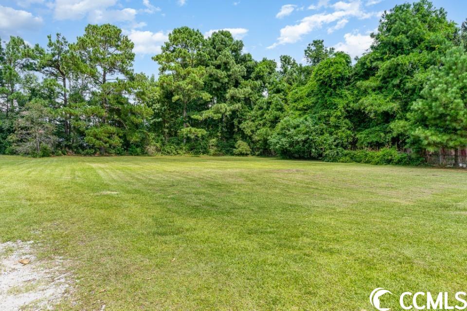 4924 Warrencliffe Way Longs, SC 29568 - Photo 8 of 40 Gallery Image 8