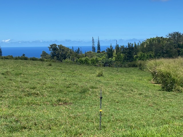 8 Hawi Road Hawi, HI 96719 - Photo 1 of 16