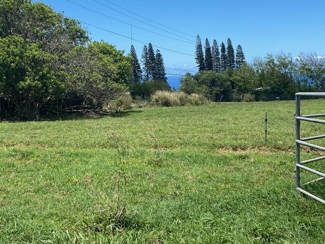 8 Hawi Road Hawi, HI 96719 - Photo 11 of 16