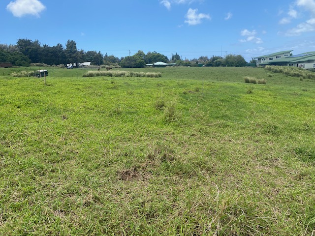 8 Hawi Road Hawi, HI 96719 - Photo 12 of 16