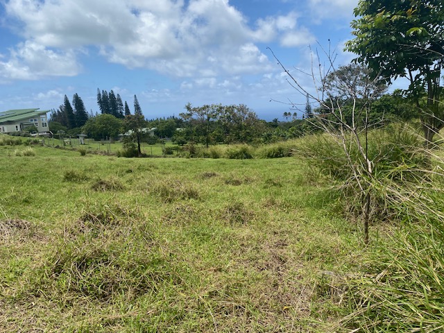 8 Hawi Road Hawi, HI 96719 - Photo 14 of 16