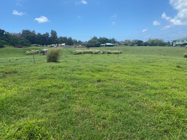 8 Hawi Road Hawi, HI 96719 - Photo 16 of 16