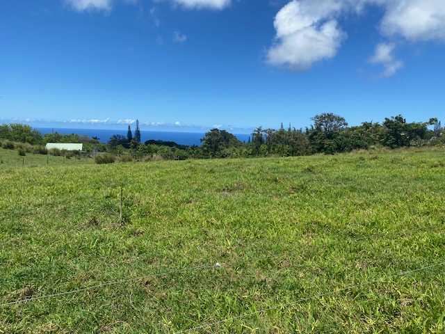 8 Hawi Road Hawi, HI 96719 - Photo 3 of 16