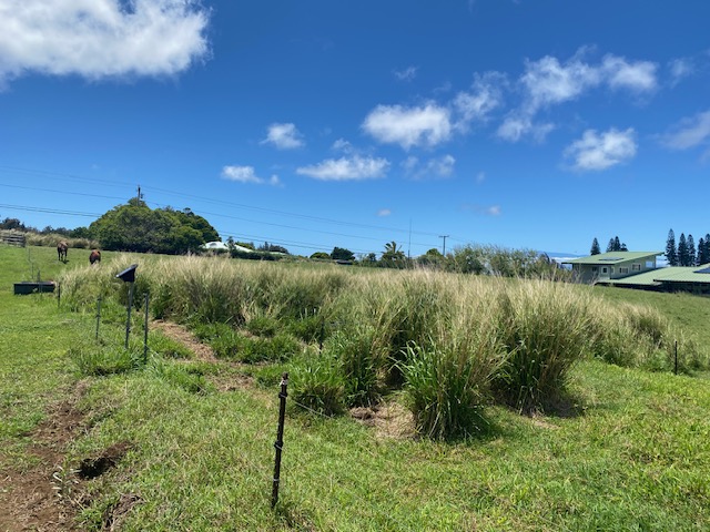 8 Hawi Road Hawi, HI 96719 - Photo 6 of 16