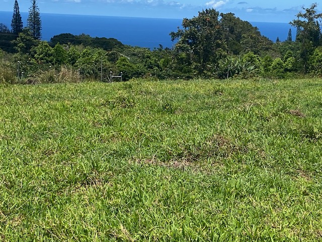 8 Hawi Road Hawi, HI 96719 - Photo 7 of 16