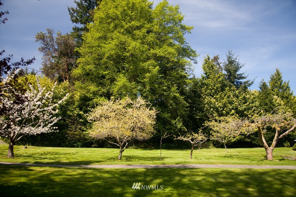 10400 Southwest Cowan Road Vashon, WA 98070 - Photo 6 of 14 Gallery Image 6