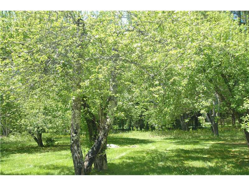 34 Hosmer Pond Road Camden, ME 04843 - Photo 19 of 20 Other. Mature apple trees