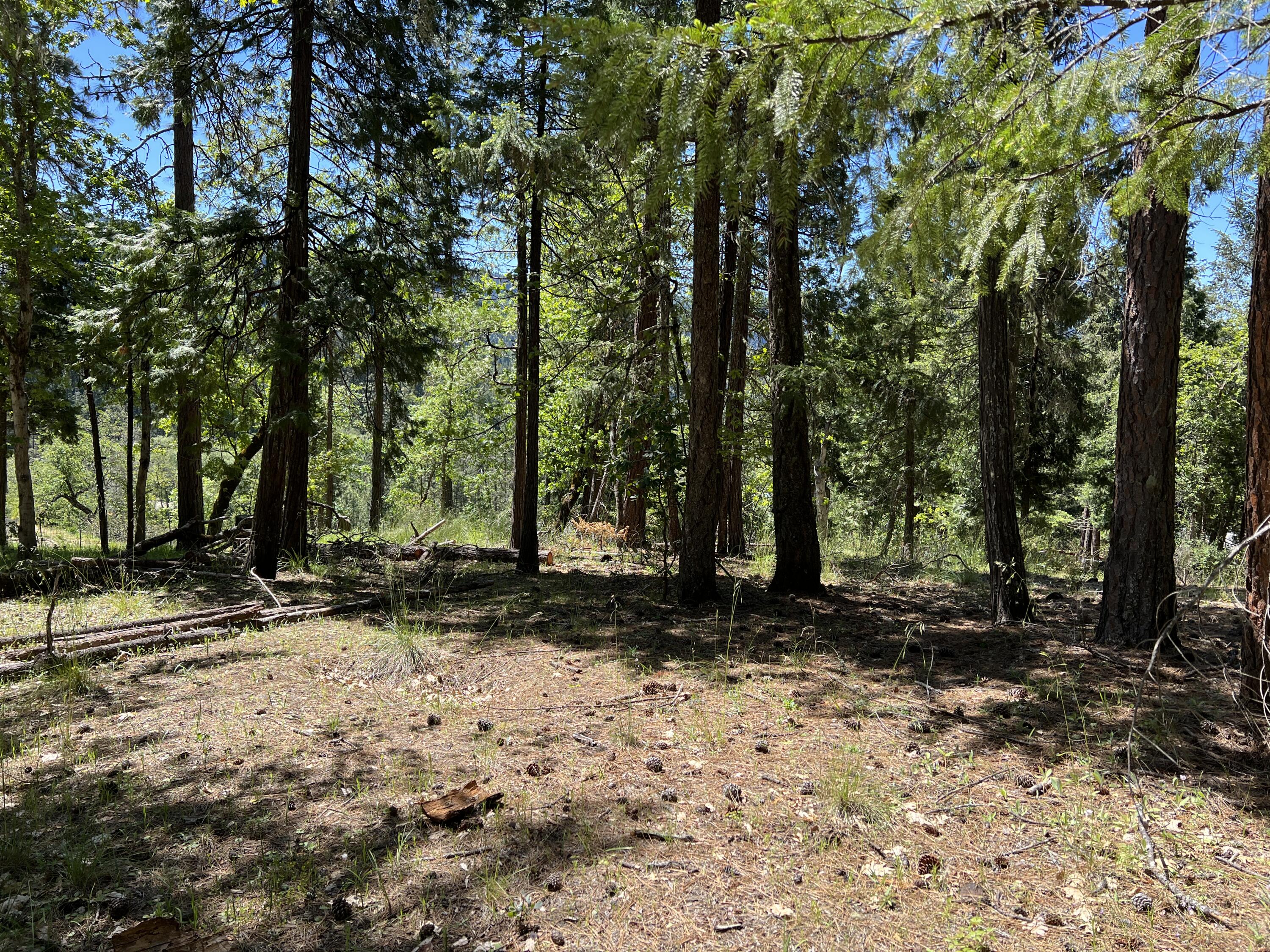 348 Flounce Rock Road Prospect, OR 97536 - Photo 4 of 12 IMG_2289