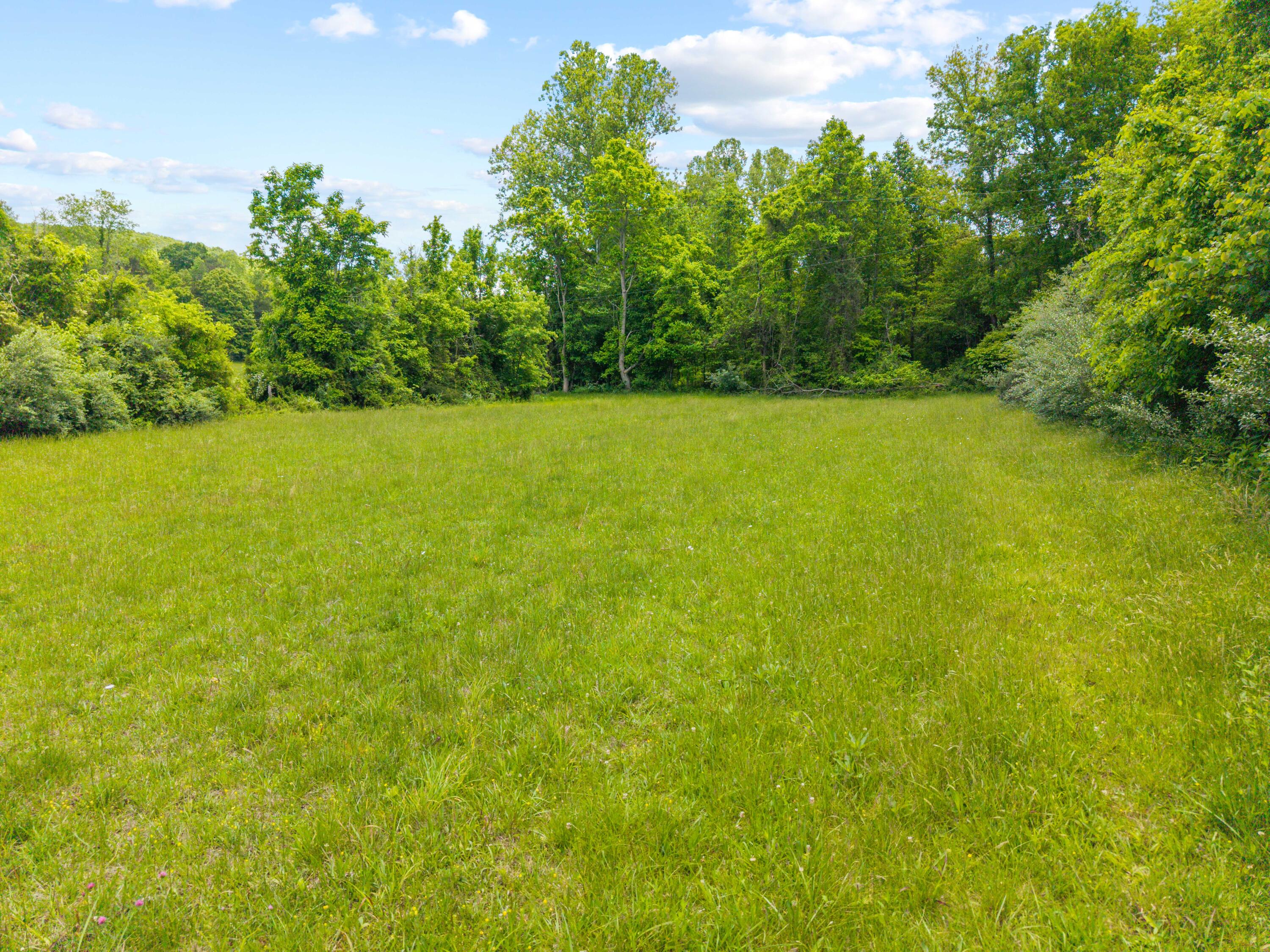 0 Sloans Valley Road Burnside, KY 42519 - Photo 31 of 38 Sloan Valley Land Photo-33
