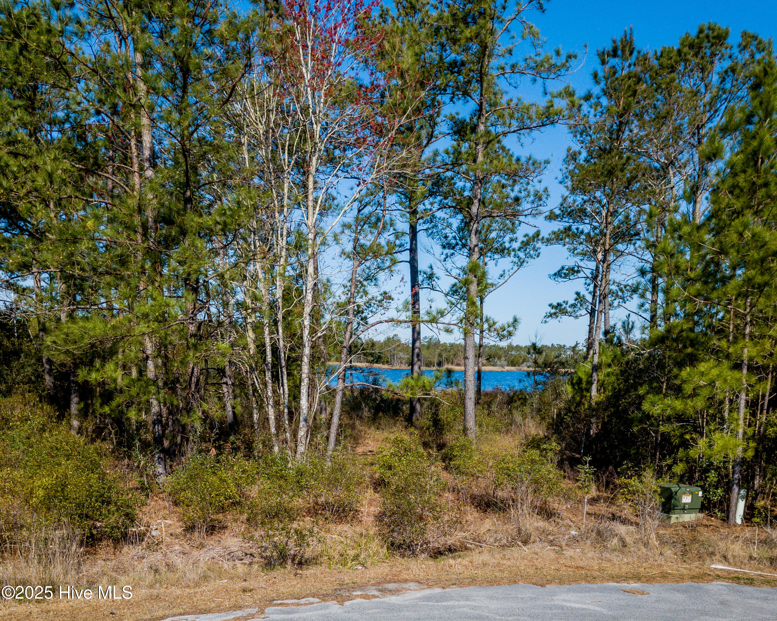 859 Winchester Way Merritt, NC 28556 - Photo 2 of 6 .77 acre waterfront lot, no HOA