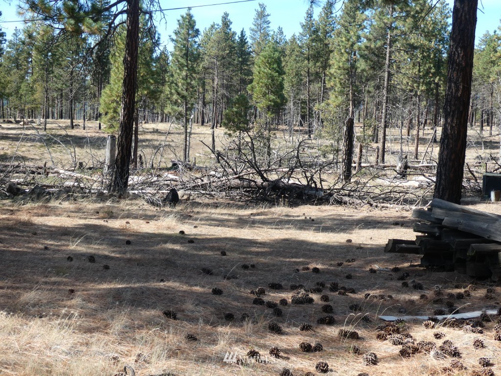 315 Old Stage Road Goldendale, WA 98620 - Photo 18 of 25 Gallery Image 18