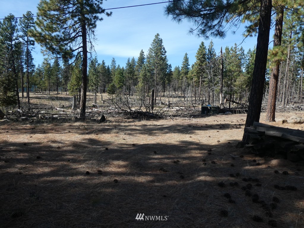315 Old Stage Road Goldendale, WA 98620 - Photo 19 of 25 Gallery Image 19