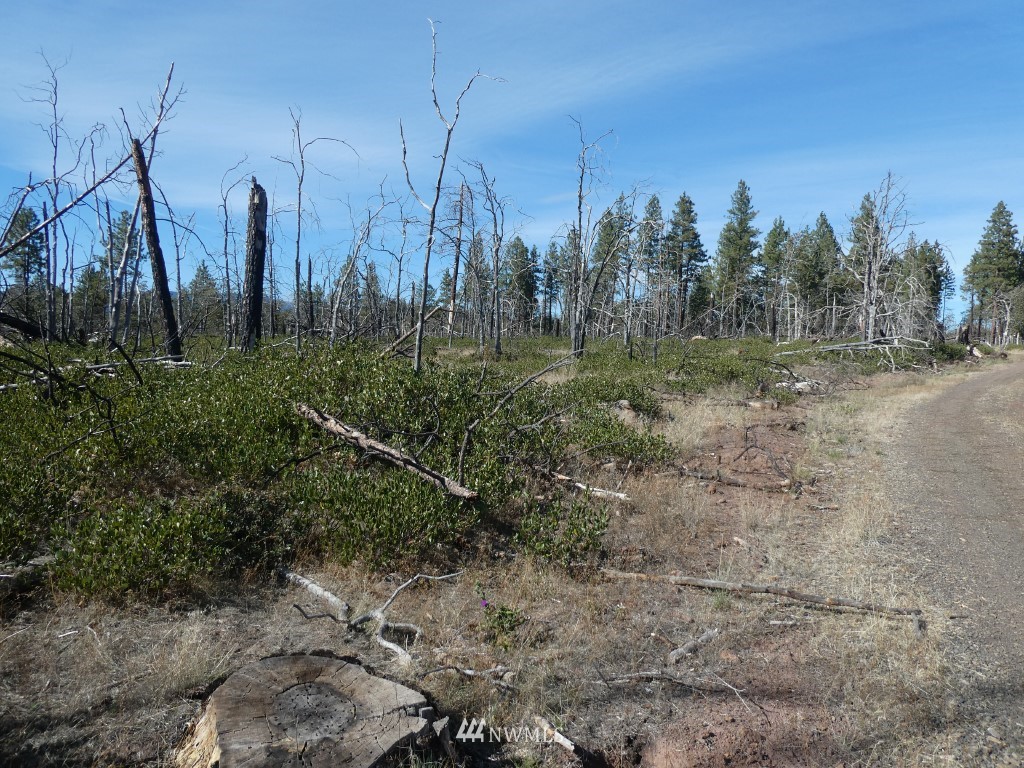 315 Old Stage Road Goldendale, WA 98620 - Photo 20 of 25 Gallery Image 20