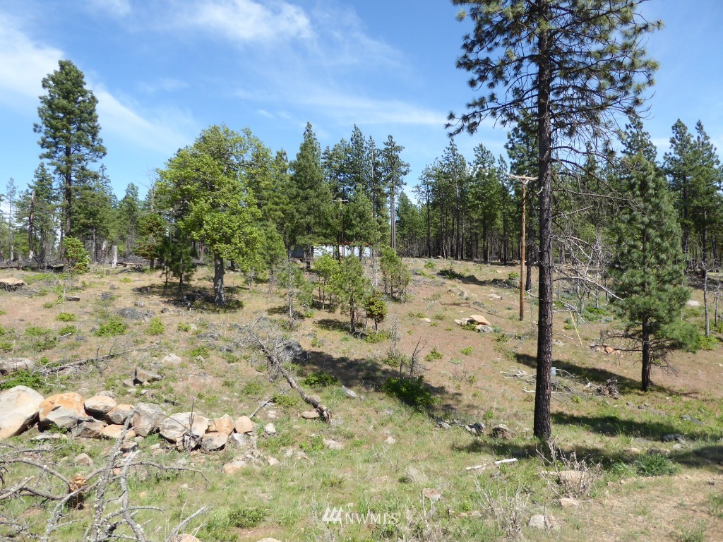 315 Old Stage Road Goldendale, WA 98620 - Photo 22 of 25 Gallery Image 22