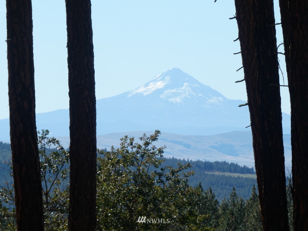 315 Old Stage Road Goldendale, WA 98620 - Photo 4 of 25 Gallery Image 4