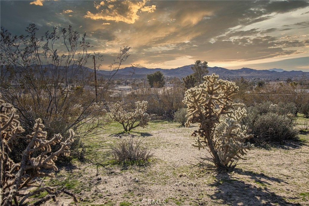 54435 Pinon Yucca Vly Ca  