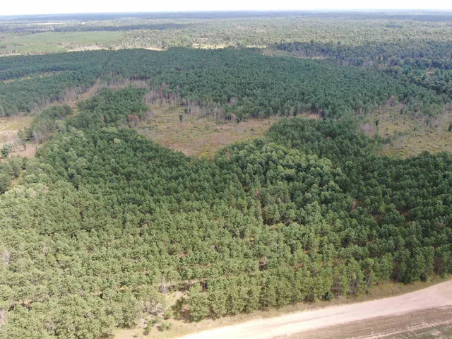 $400,000 | 80-ac 16th Avenue, Arkdale, WI 54613