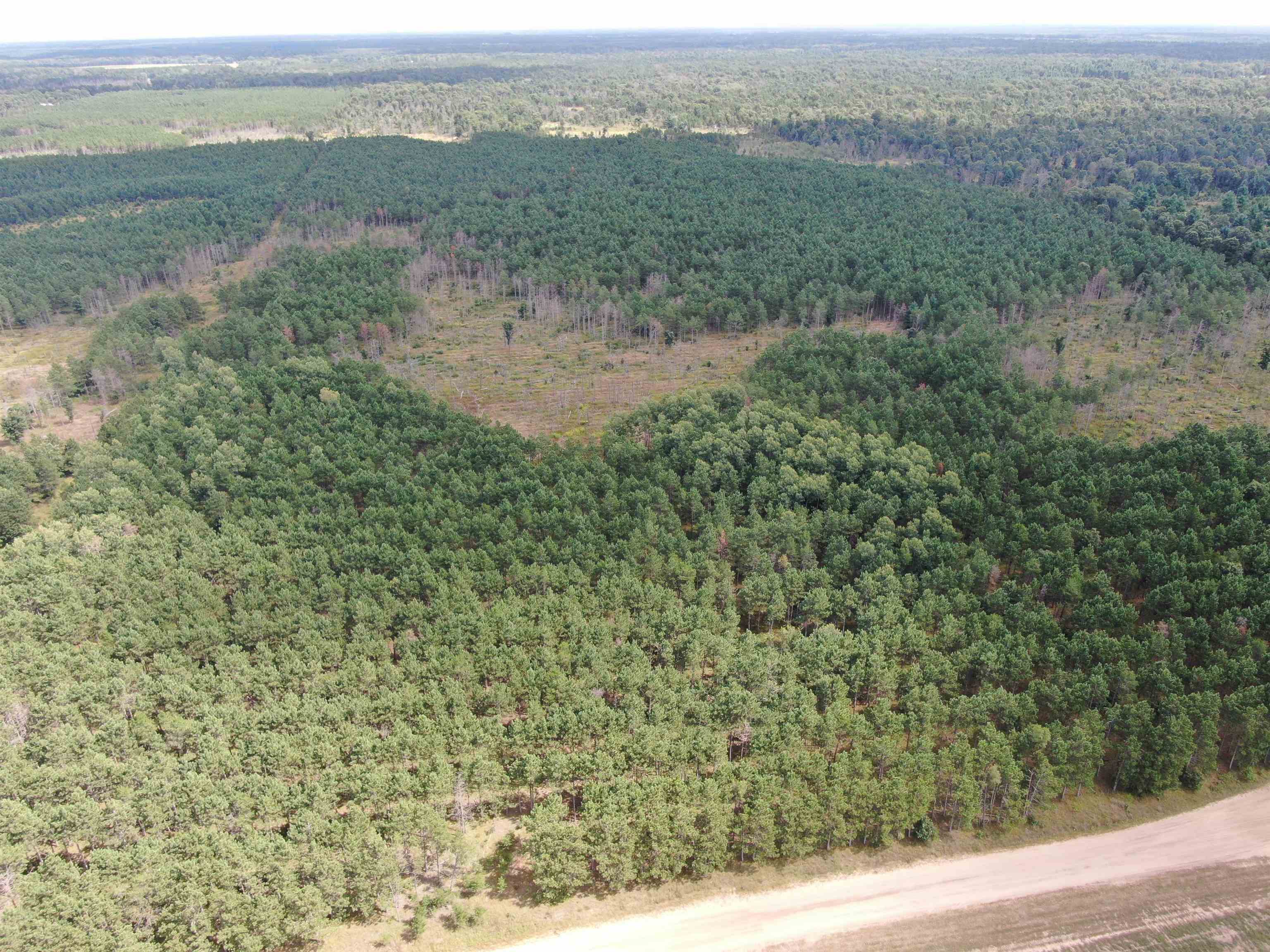 80-ac 16th Avenue Arkdale, WI 54613 - Photo 15 of 32