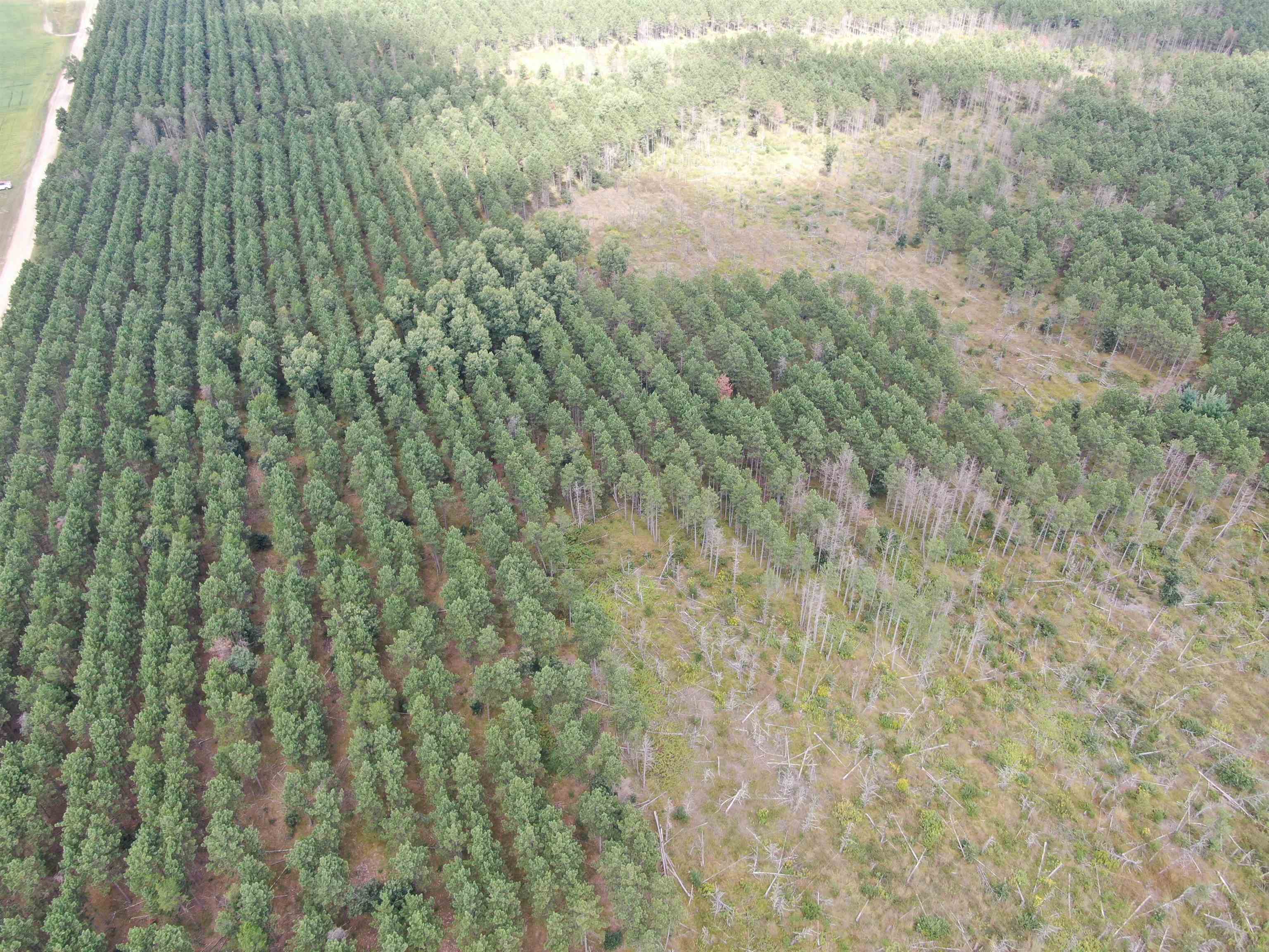 80-ac 16th Avenue Arkdale, WI 54613 - Photo 19 of 32