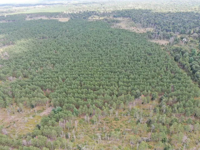 $400,000 | 80-ac 16th Avenue, Arkdale, WI 54613