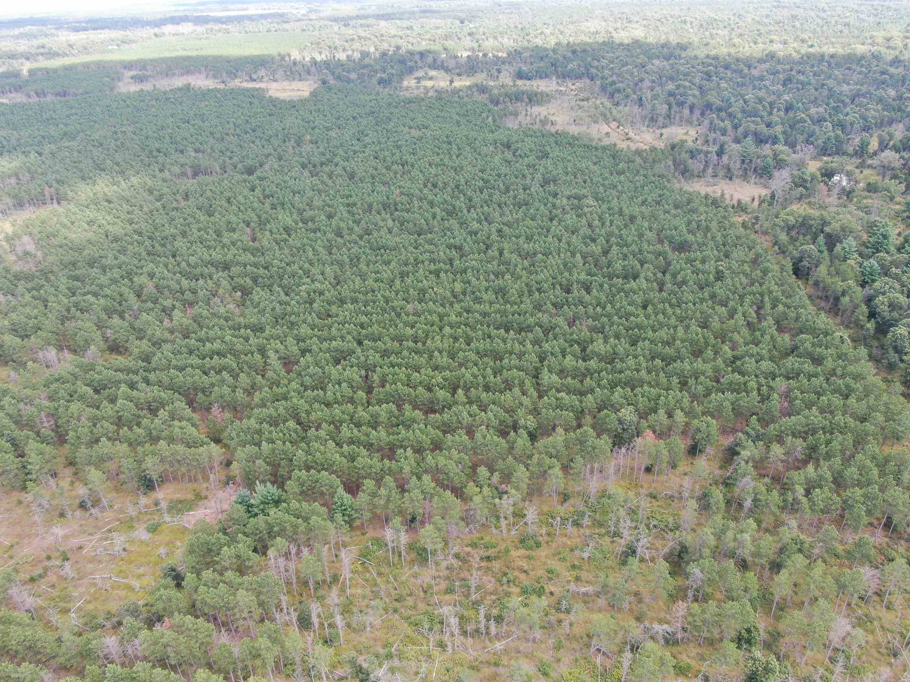 80-ac 16th Avenue Arkdale, WI 54613 - Photo 20 of 32