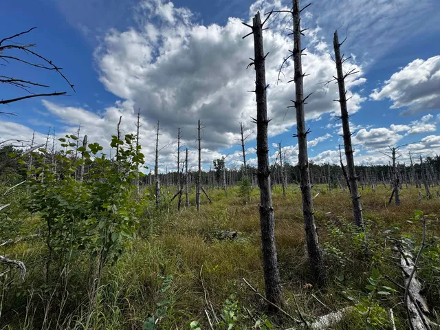 $400,000 | 80-ac 16th Avenue, Arkdale, WI 54613