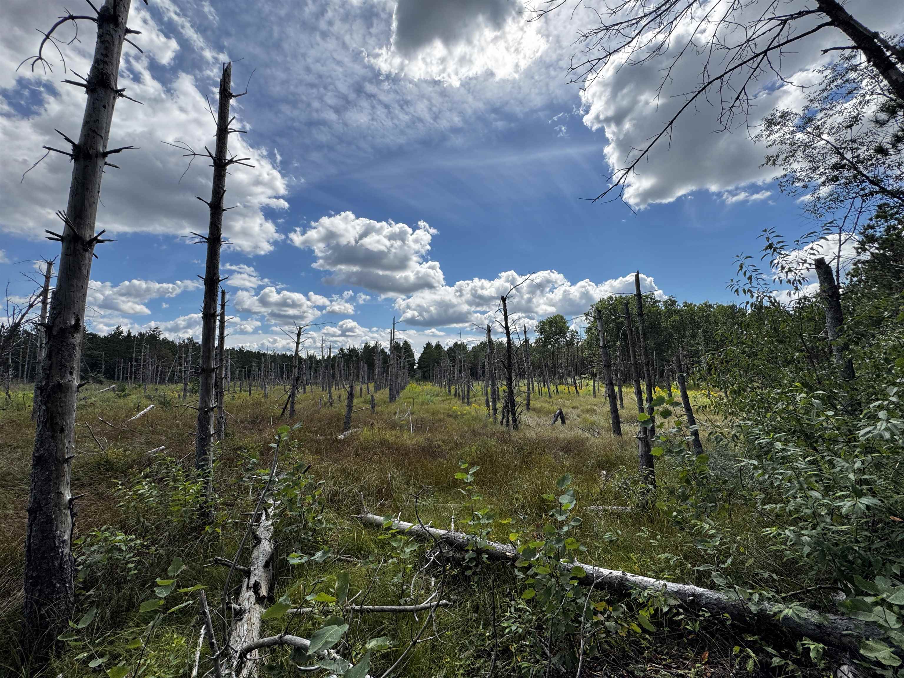 80-ac 16th Avenue Arkdale, WI 54613 - Photo 22 of 32