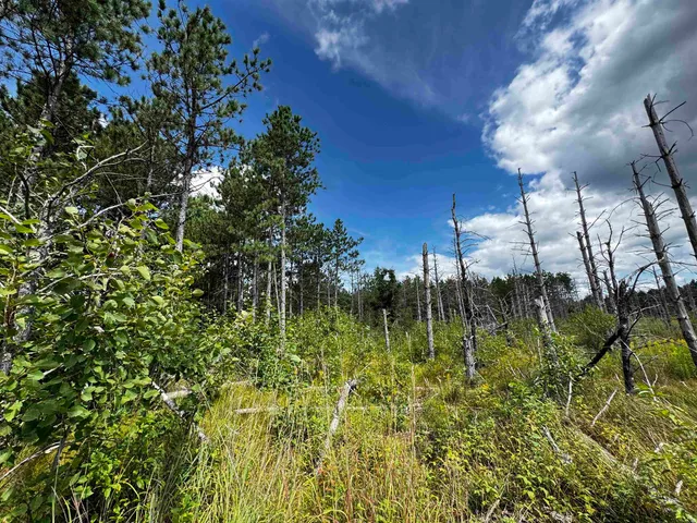 $400,000 | 80-ac 16th Avenue, Arkdale, WI 54613