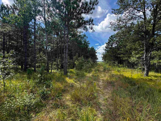 $400,000 | 80-ac 16th Avenue, Arkdale, WI 54613