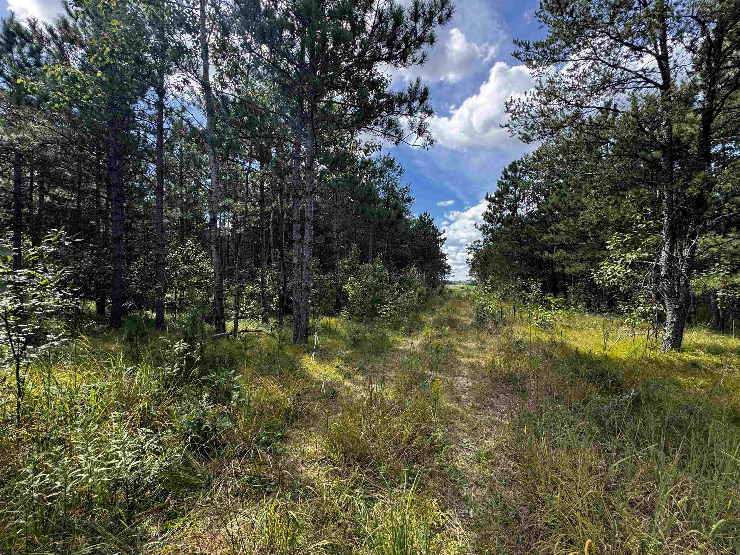 80-ac 16th Avenue Arkdale, WI 54613 - Photo 25 of 32