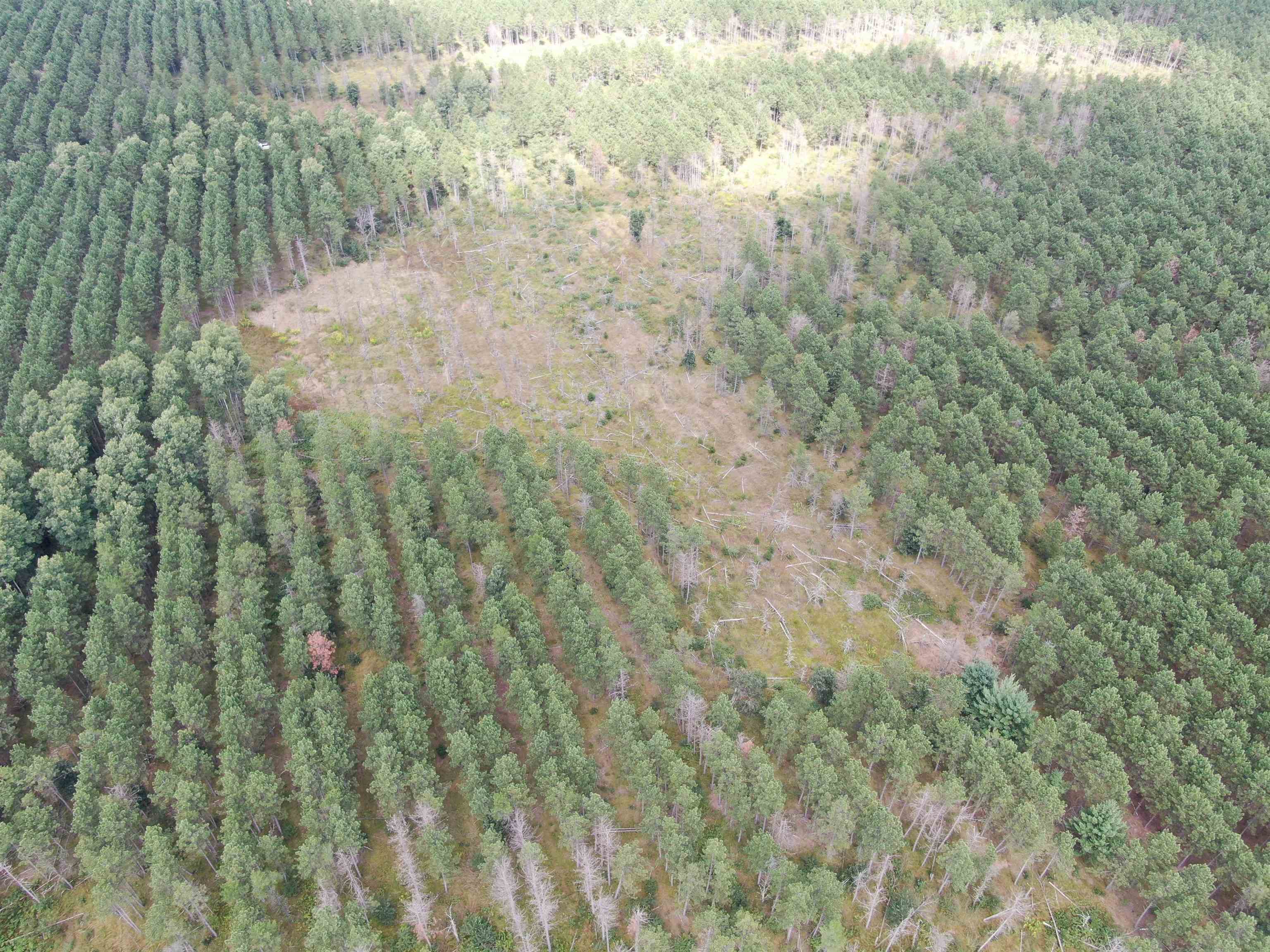 80-ac 16th Avenue Arkdale, WI 54613 - Photo 26 of 32