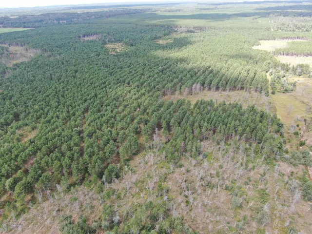 $400,000 | 80-ac 16th Avenue, Arkdale, WI 54613